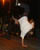 DSCF0536